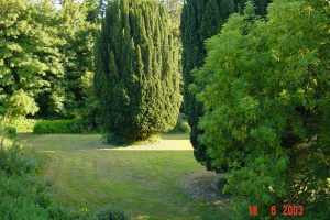 dsc00600