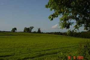 dsc00621